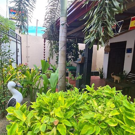 Kavidi Villa Home Stay Тангале Екстериор снимка
